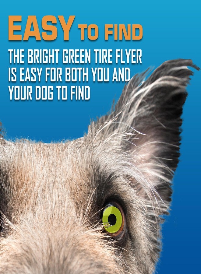 Nerf Dog Atomic Flyer Outdoor Dog Toy, 10 Inch Flying Disc Dog Fetch Toy, Rubber Dog Toy for Medium Dogs and Large Dogs, Green - Image 5